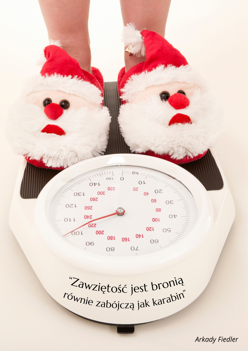 „Zawziętość jest bronią równie zabójczą jak karabin”, Arkady Fiedler