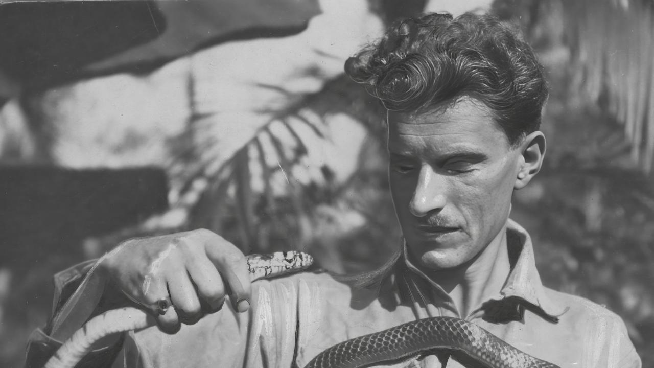 Miesiąc z Arkadym Fiedlerem